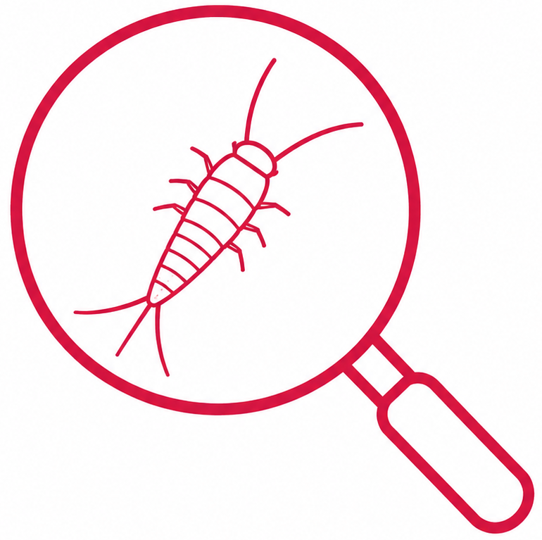 Icône d’inspection et diagnostic avec loupe et poisson d’argent.