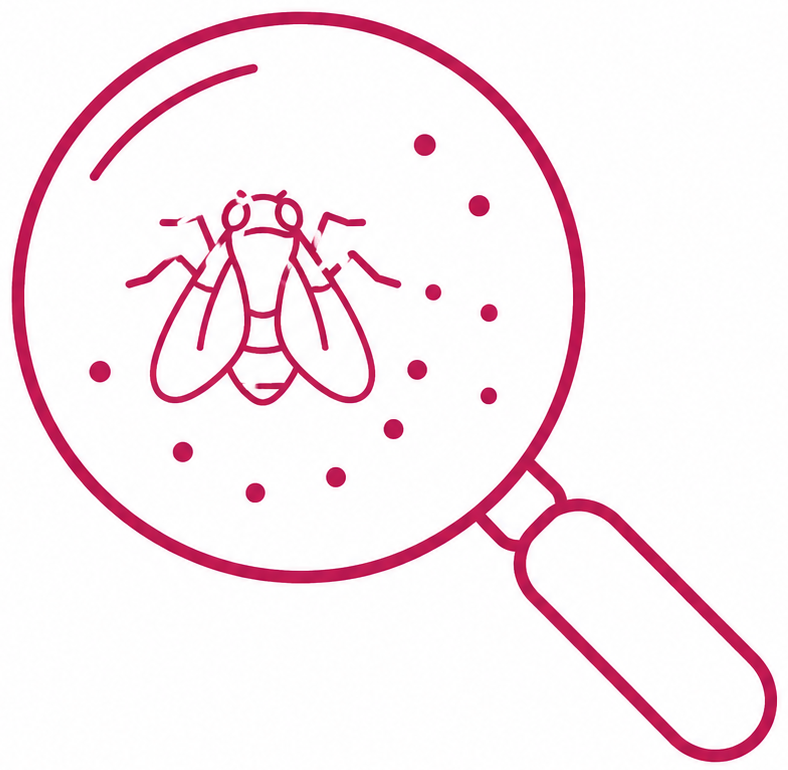 Icône d’inspection et diagnostic des mouches avec loupe