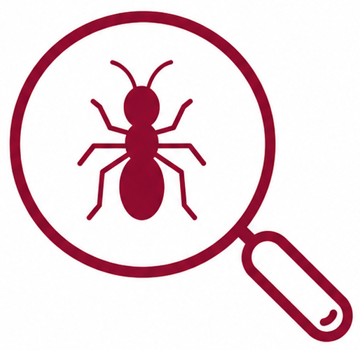 Icône de fourmi sous une loupe représentant l’inspection et le diagnostic d’une infestation de fourmis.