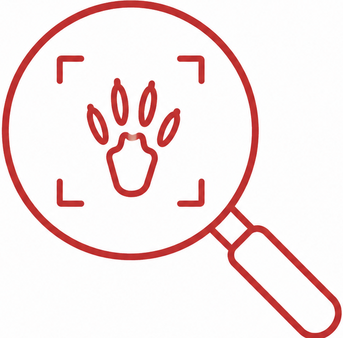 Red outline icon of a magnifying glass inspecting a rodent footprint.