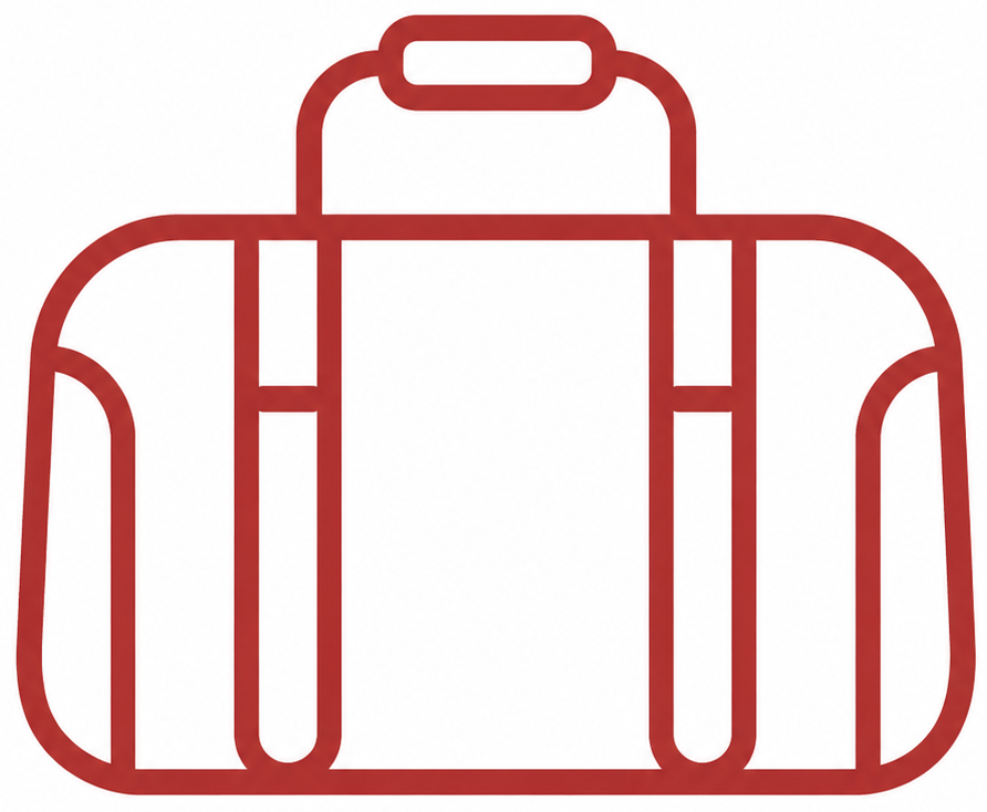 Icône de sac de voyage, source possible de transport des punaises de lit
